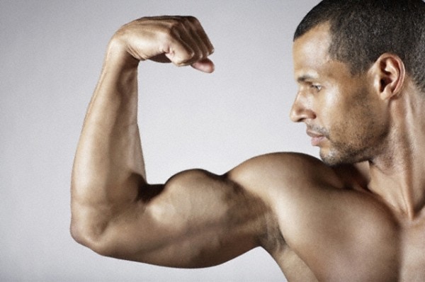 brazo