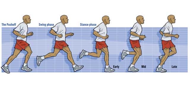 ciclo marcha carrera