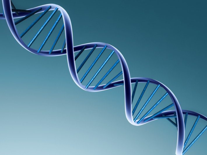 genetica entrenamiento proteinas fuerza