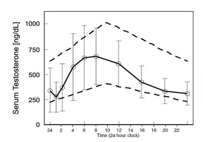 Ritmo circadiano testosterona