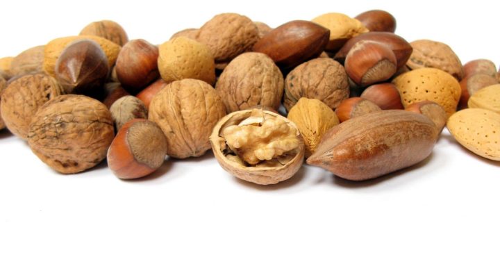 Frutos secos