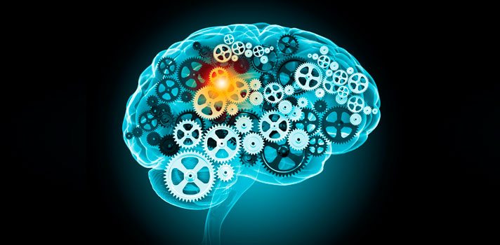 Mejorar el sistema cognitivo