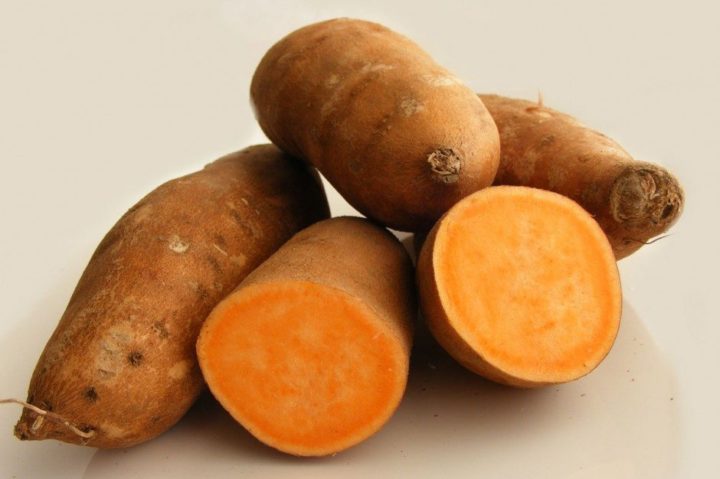 Patata dulce