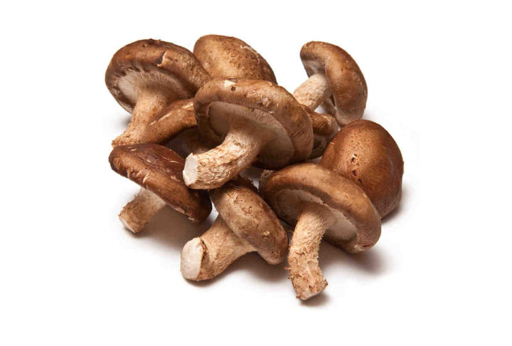 Shitake 