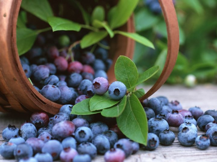 alimentos para manterse joven