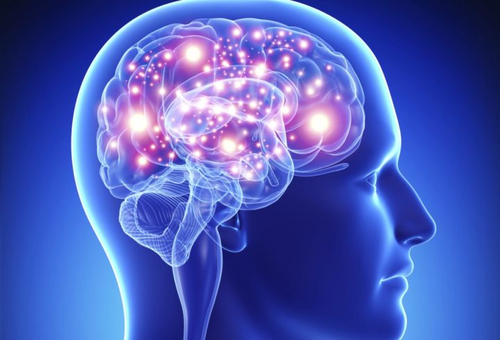 Entrenamiento neural