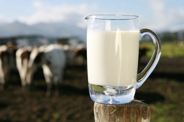 Diferencias entre leche regular y leche orgánica