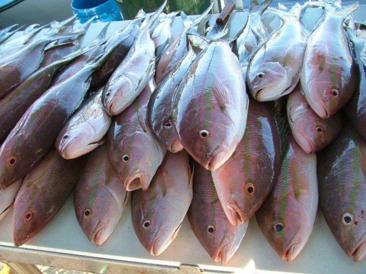 Peligros del mercurio