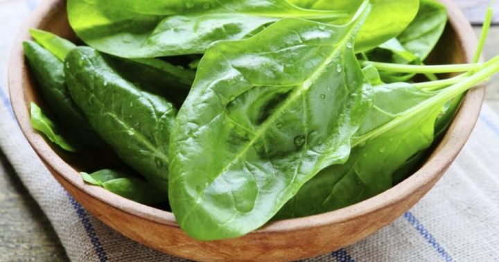 Nutriente más importante para tu cerebro
