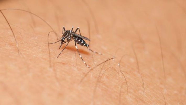 ¿Qué es el virus Zika?