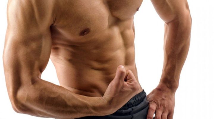 fibras que permiten la hipertrofia muscular