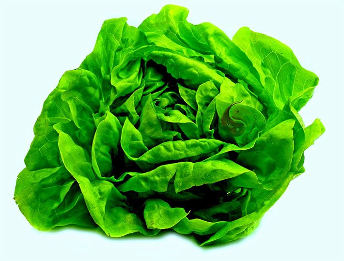 lechuga y sus beneficios