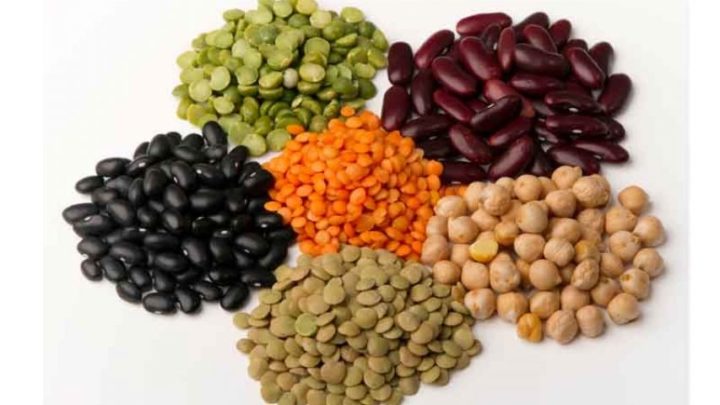 proteínas de origen vegetal