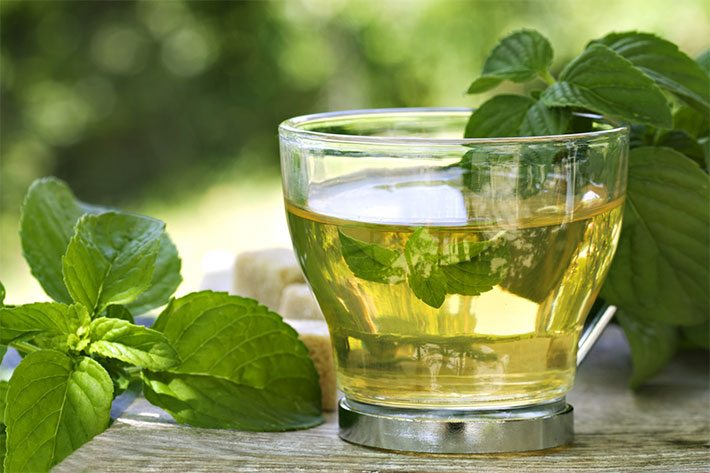 el té verde y sus beneficios