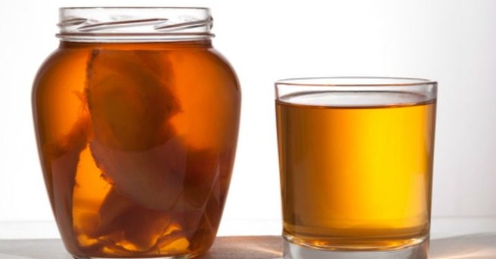 el té Kombucha aumenta la energía