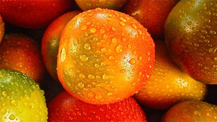 No lavar la fruta y verdura nada más llegar a casa