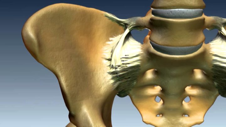 Articulación sacroilíaca