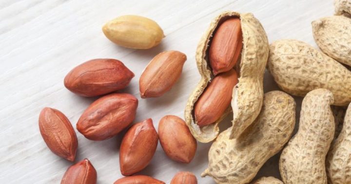 Los mejores snacks para llevar