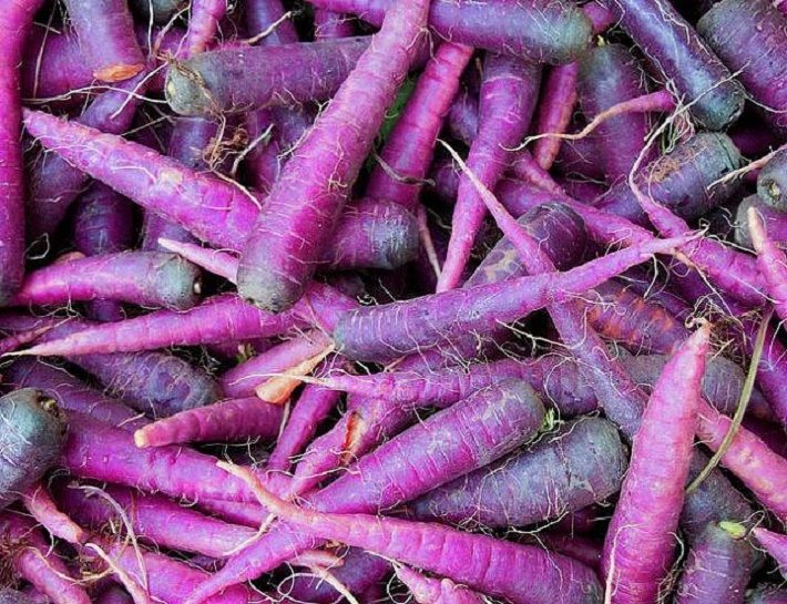 zanahorias moradas