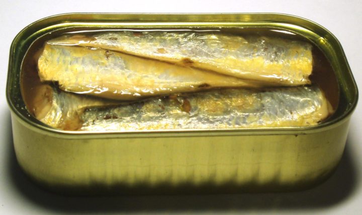 ¿Qué tipos de pescado contienen más mercurio?
