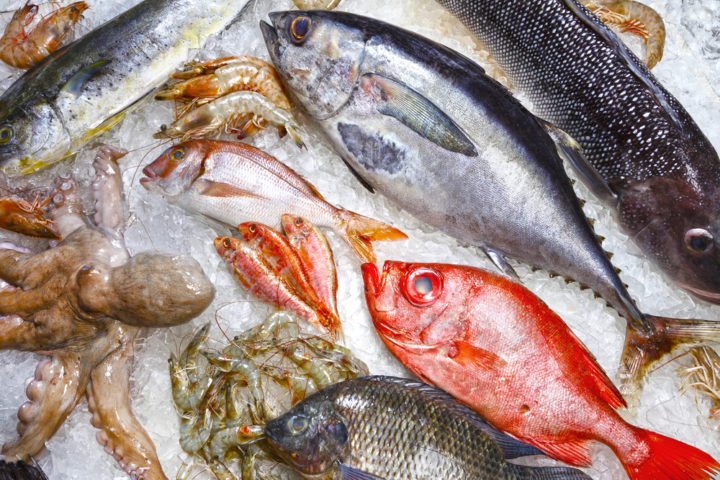 ¿Qué tipos de pescado son más altos en mercurio?