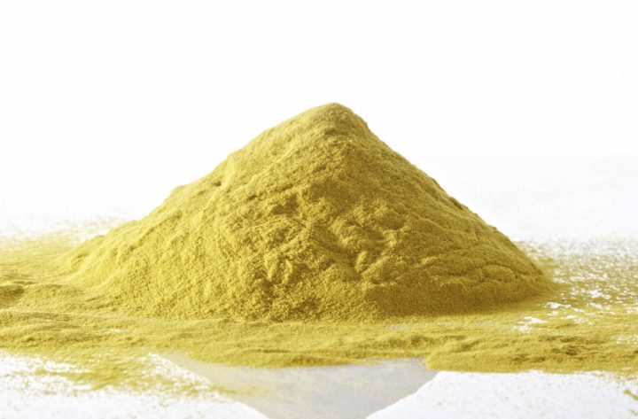 Beneficios de la proteína de algas