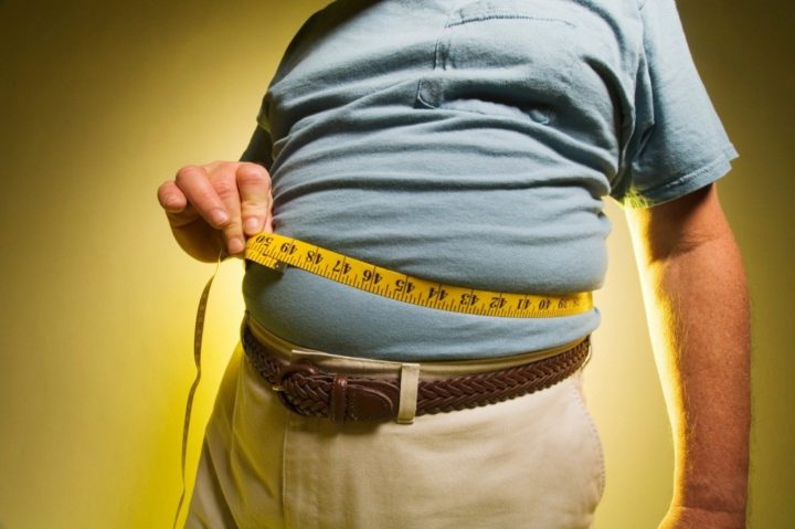 Dietas altas en grasas reducen rendimiento cognitivo