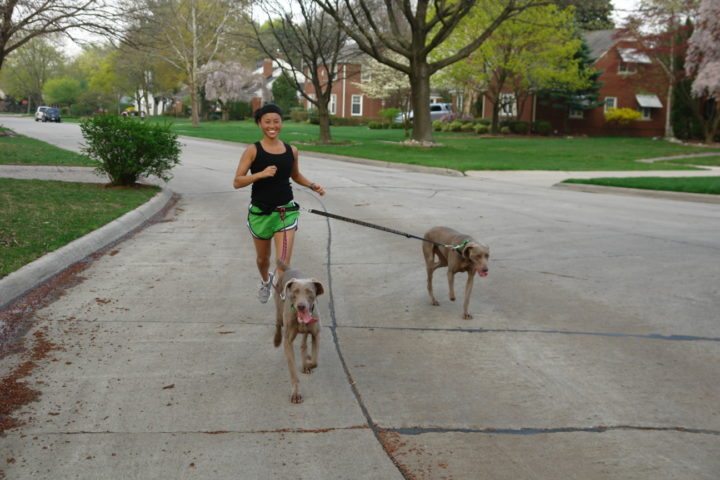 Razas de perro perfectas para practicar running