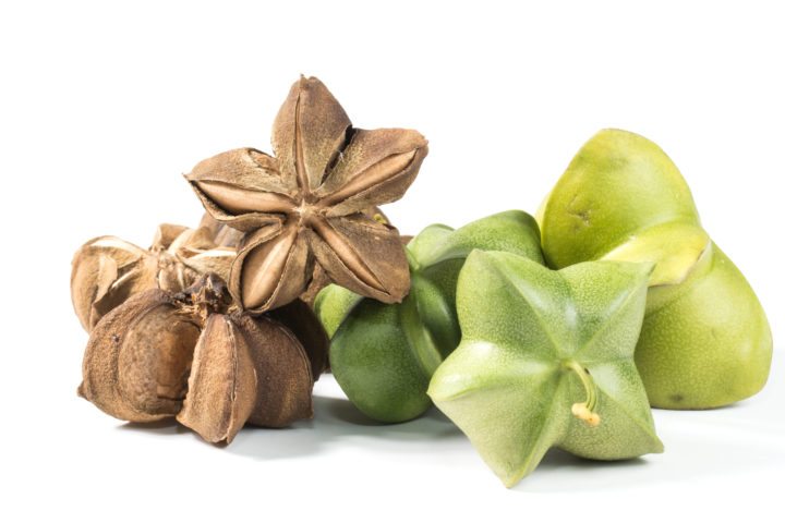 Ventajas de la sacha inchi