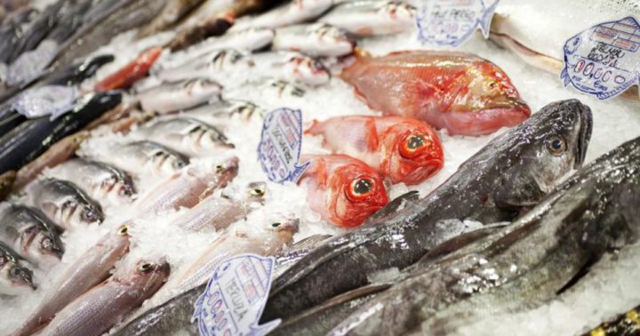 Pescados que te podrían hacer daño