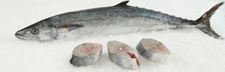 Pescados que no debes ingerir