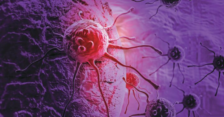 El té blanco puede ayudar a combatir el cáncer