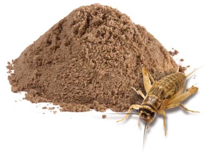 Fuentes alternativas y baratas de proteína