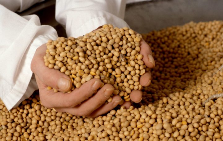La soja fermentada elimina sus efectos negativos