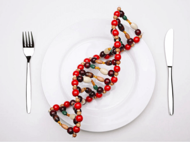 El ADN se altera por la alimentación
