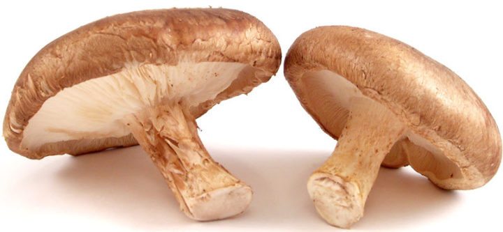 Champinones Shiitake altos en gms