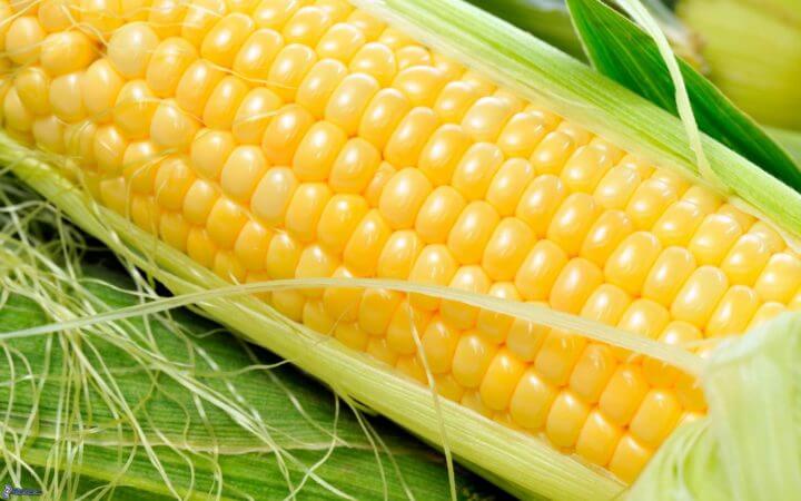 El maíz fresco es un carbohidrato saludable