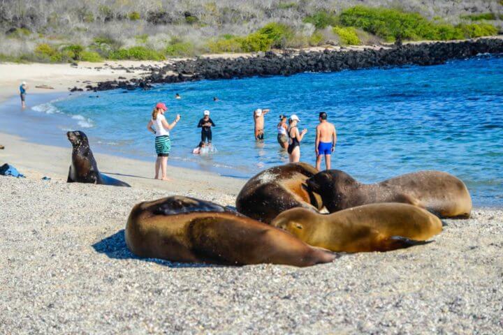 Maravillas de la Playa Galápagos
