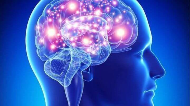 ¿Cómo el resveratrol beneficia al cerebro?