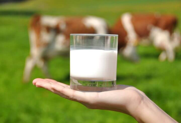 La leche tiene mucha sal