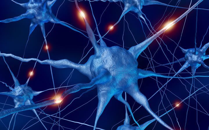 El sedentarismo provoca daños en el sistema neuronal
