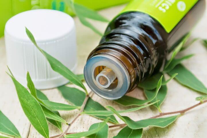 Maneras de usar el aceite de árbol de té