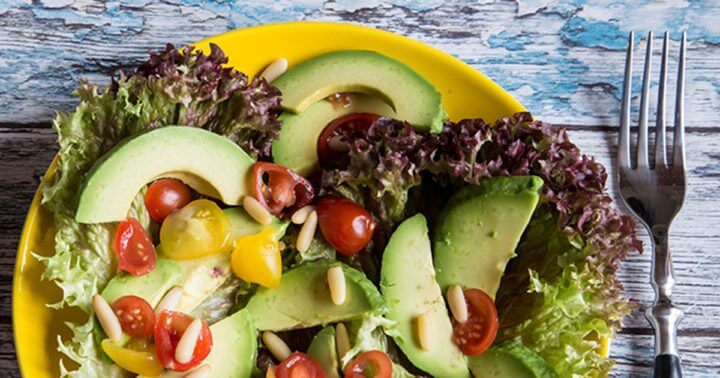 ¿Cuál es la mejor dieta?