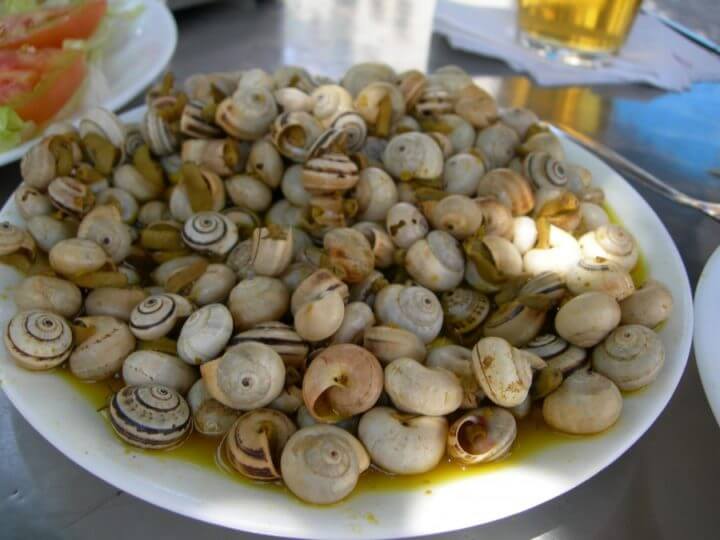 ¿Hay vitamina E en los caracoles?