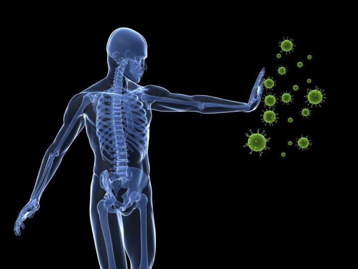 Principales beneficios de la chlorella a la salud