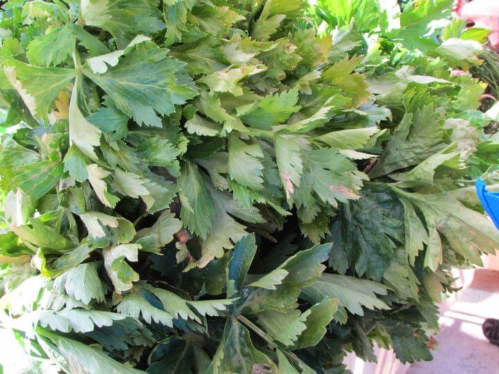 ¿Cuánta vitamina E hay en la hoja de nabo?
