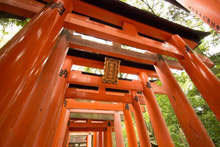 Lecciones que debes saber para vivir o viajar en Japón