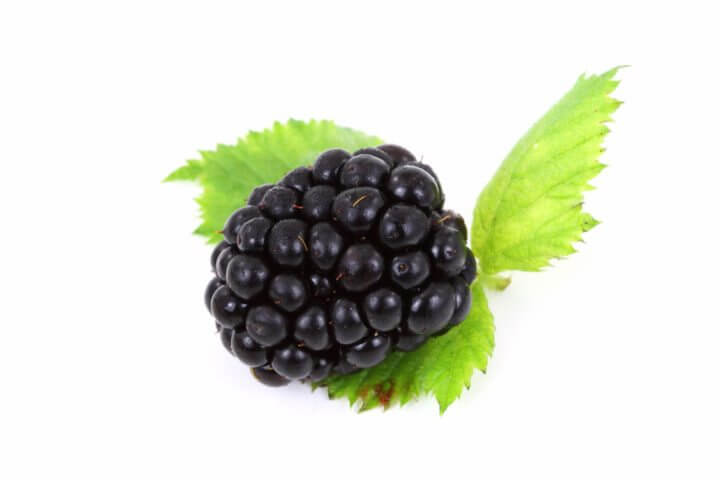 ¿Cuánta vitamina E tienen las moras?
