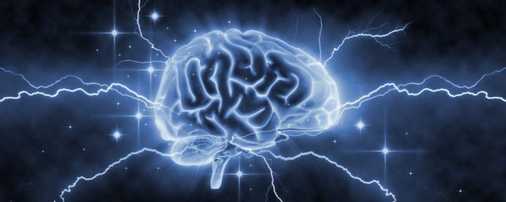 El Ginseng mejora la función cerebral 