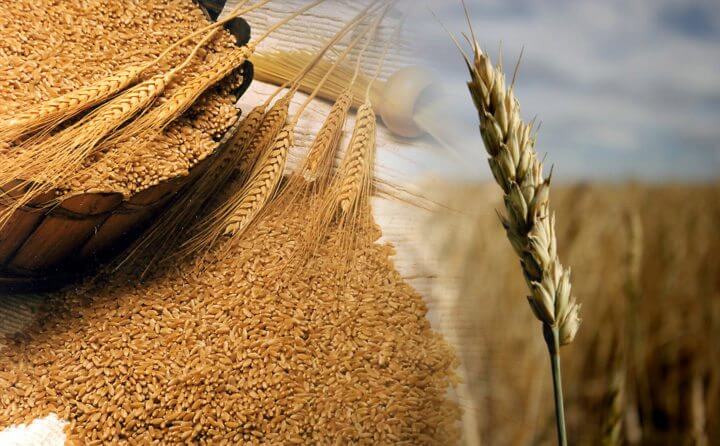 Alimentos a evitar en la dieta de eliminación